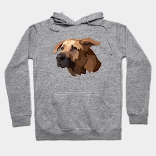 Polygon Dog Hoodie